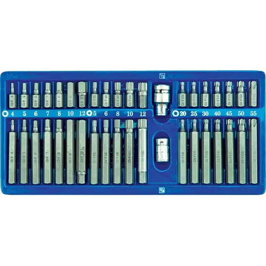 КЛЮЧІ СПЕЦІАЛЬНІ HEX, TORX, SPLINE, НАБІР 40 ШТ.