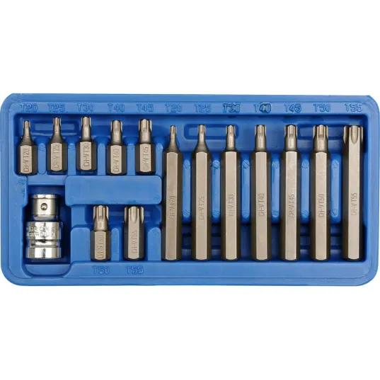 КЛЮЧІ СПЕЦІАЛЬНІ TORX T20-T55, НАБІР 15 ШТ.