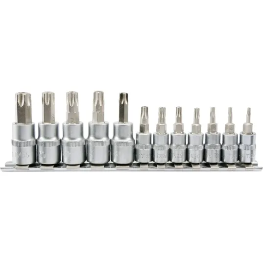КОМПЛЕКТ КЛЮЧIВ TORX SECUR НА ШИНІ 12 Ч.