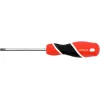 ВИКРУТКА TORX SECURITY Т30X100 ММ