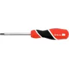 ВИКРУТКА TORX SECURITY Т40X100 ММ